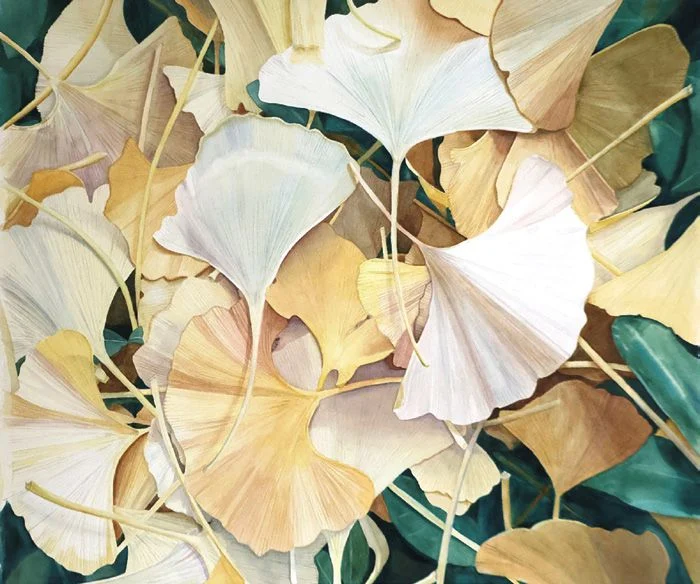 Fallen, a painting of Ginko leaves by Katherine Davis