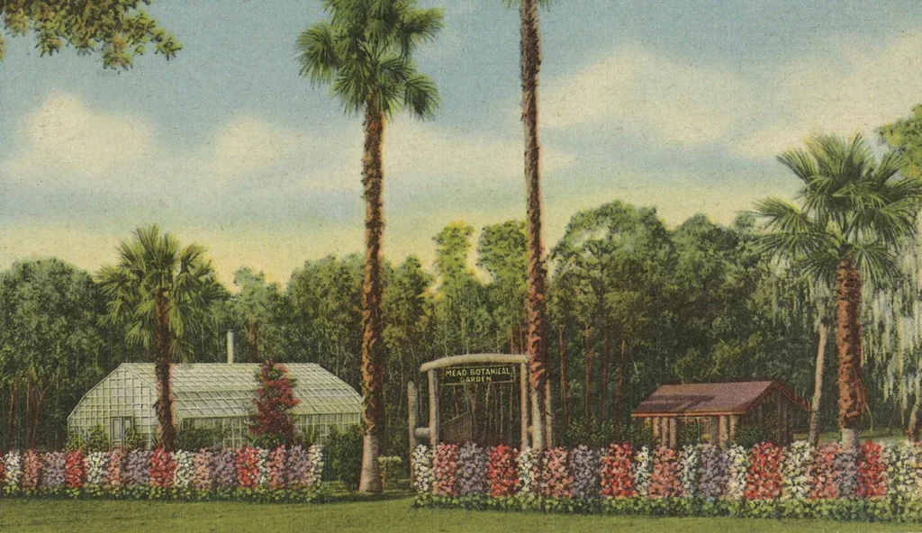 Artist rendering of Mead Botanical Garden