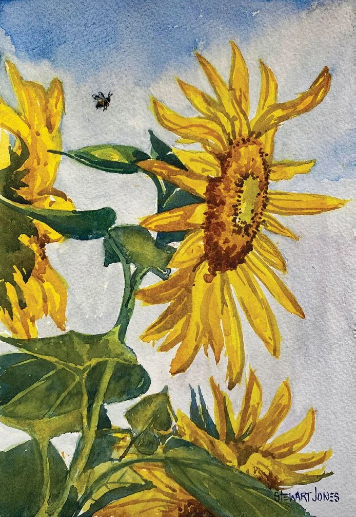 Sunflowers, a painting by Stewart Jones