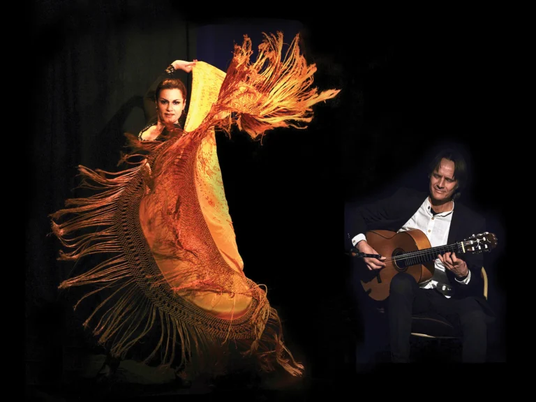 Flamenco dancer