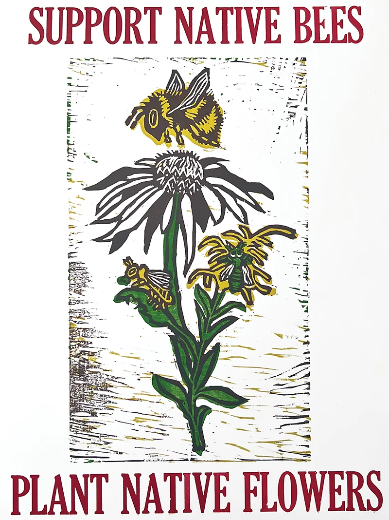Support Native Bees, Plant Native Flowers