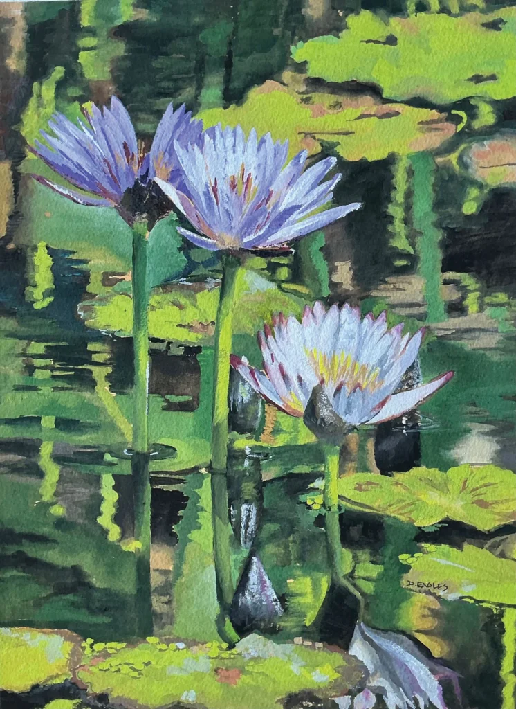 Water Lilies in Bloom by Diana Eagles
