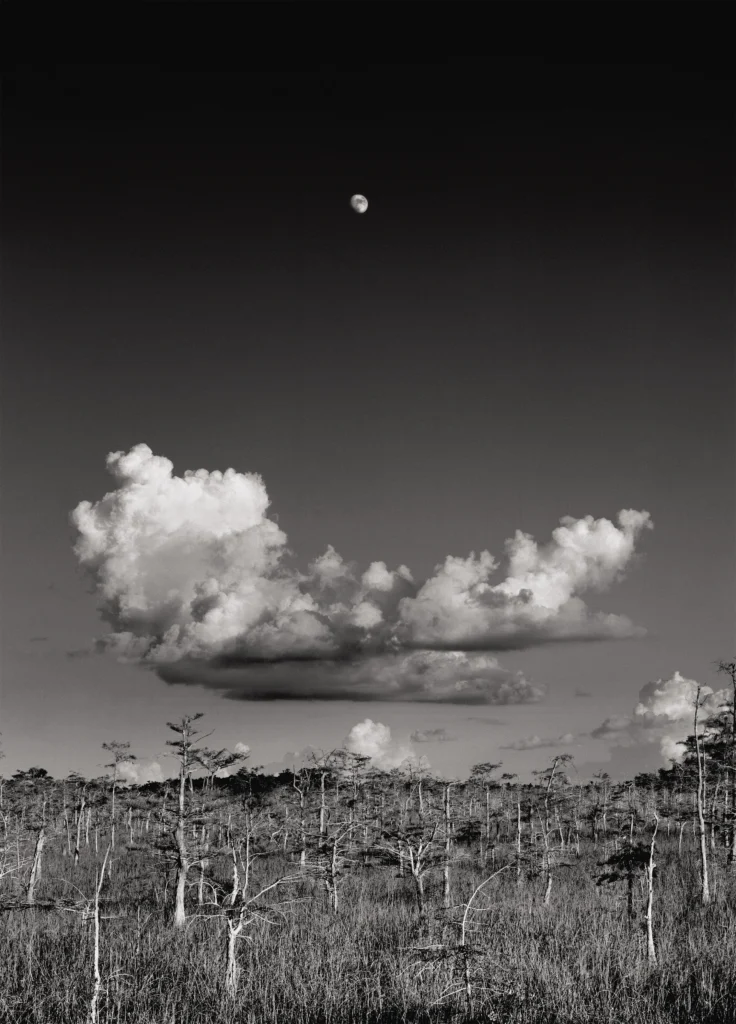 Moonrise