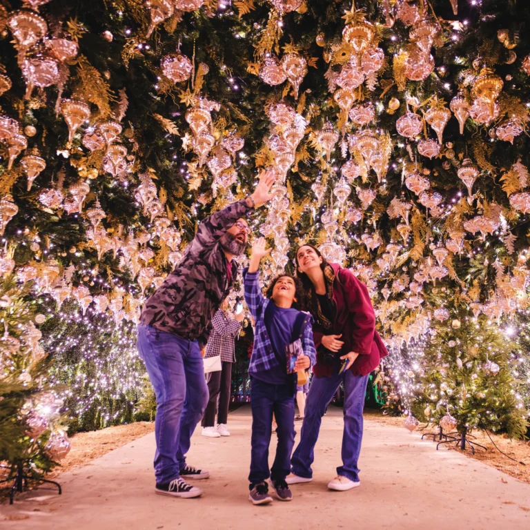 A family looking up at a canopy of glowing ornaments and lights at Dazzling Nights