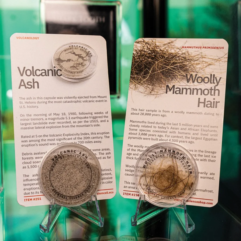 Display capsules of volcanic ash and woolly mammoth hair with information cards