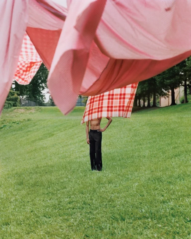 Photograph of a person standing on a lawn, face hidden by billowing pink and red-checked fabric on a clothesline